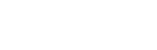 פלונסי — FLONCI